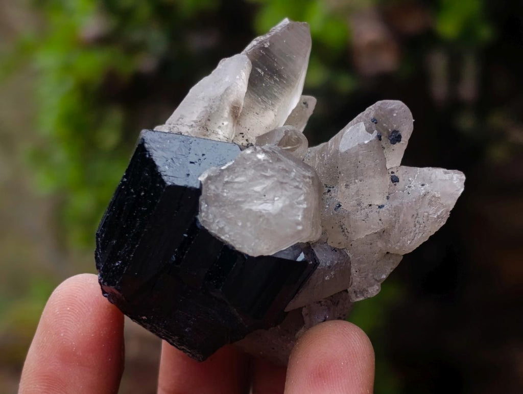 Natural Schorl Black Tourmaline with Smokey Quartz x 48 From Erongo, Namibia - Toprock Gemstones and Minerals 
