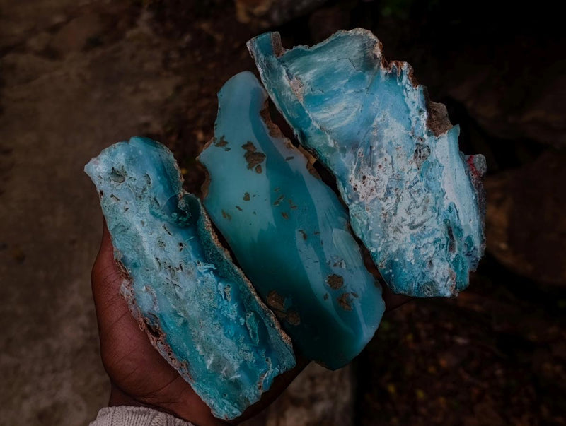 Polished One Side Great Dyke Mtorolite Chrysoprase Slices x 12 From Great Dyke Mountain Range, Zimbabwe - Toprock Gemstones and Minerals 