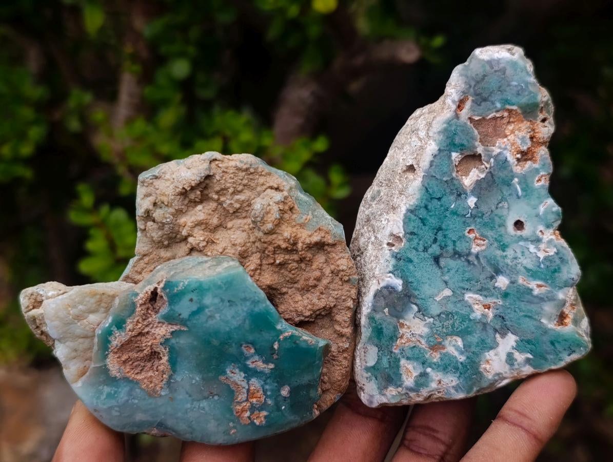 Polished One Side Great Dyke Mtorolite Chrysoprase Slices x 12 From Great Dyke Mountain Range, Zimbabwe - Toprock Gemstones and Minerals 