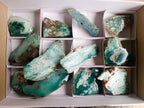Polished One Side Great Dyke Mtorolite Chrysoprase Slices x 12 From Great Dyke Mountain Range, Zimbabwe - Toprock Gemstones and Minerals 