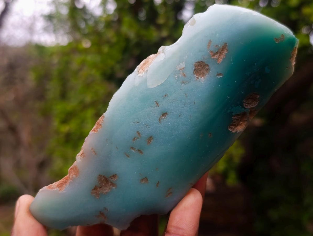 Polished One Side Great Dyke Mtorolite Chrysoprase Slices x 12 From Great Dyke Mountain Range, Zimbabwe - Toprock Gemstones and Minerals 