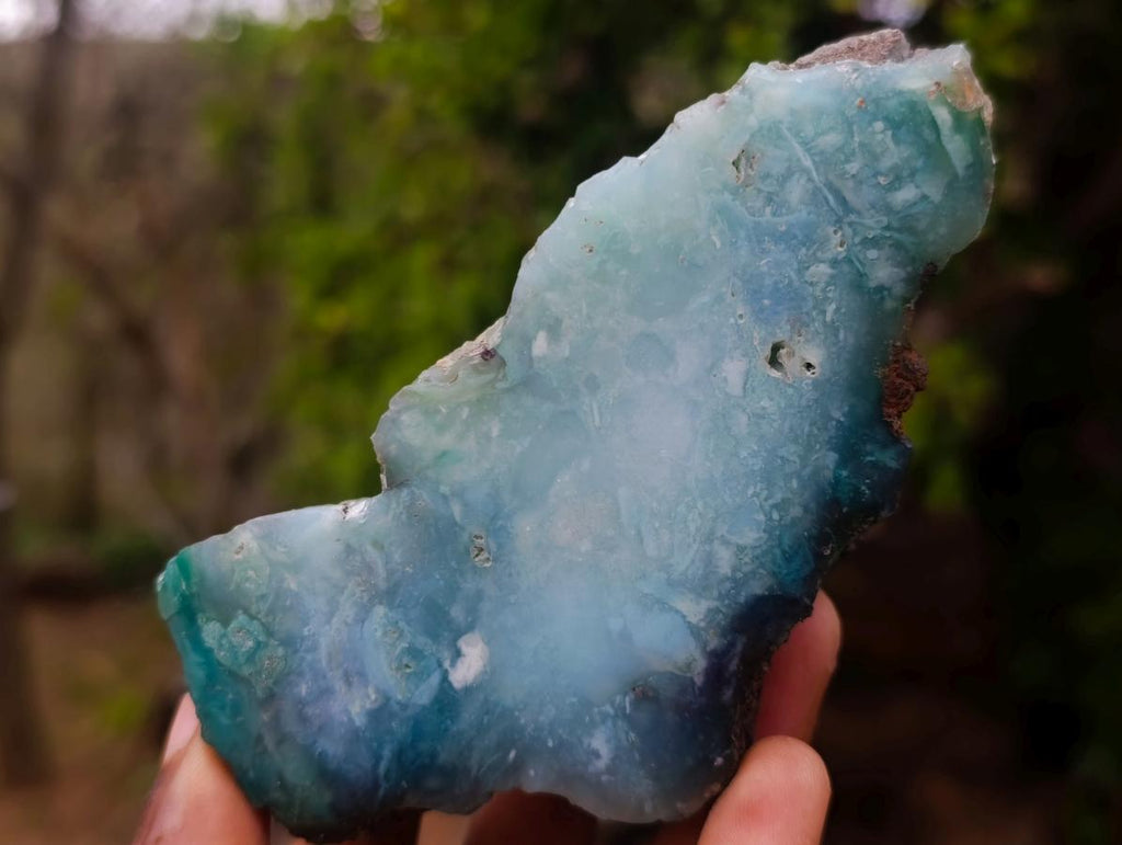 Polished One Side Great Dyke Mtorolite Chrysoprase Slices x 12 From Great Dyke Mountain Range, Zimbabwe - Toprock Gemstones and Minerals 