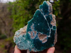 Polished One Side Great Dyke Mtorolite Chrysoprase Slices x 12 From Great Dyke Mountain Range, Zimbabwe - Toprock Gemstones and Minerals 