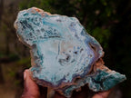 Polished One Side Great Dyke Mtorolite Chrysoprase Slices x 12 From Great Dyke Mountain Range, Zimbabwe - Toprock Gemstones and Minerals 