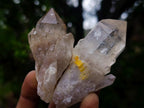 Natural Cascading Luena Quartz Crystals x 26 From Luena, Congo - Toprock Gemstones and Minerals 