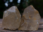 Natural Cascading Luena Quartz Crystals x 26 From Luena, Congo - Toprock Gemstones and Minerals 