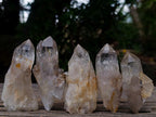 Natural Cascading Luena Quartz Crystals x 26 From Luena, Congo - Toprock Gemstones and Minerals 
