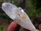 Natural Cascading Luena Quartz Crystals x 26 From Luena, Congo - Toprock Gemstones and Minerals 