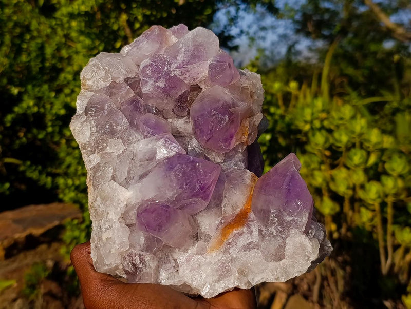 Natural Large Jacaranda Amethyst Crystal Cluster x 1 From Mumbwa, Zambia - Toprock Gemstones and Minerals 