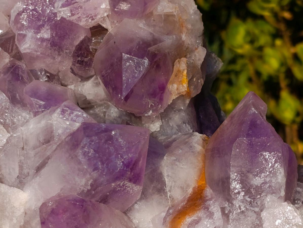 Natural Large Jacaranda Amethyst Crystal Cluster x 1 From Mumbwa, Zambia - Toprock Gemstones and Minerals 