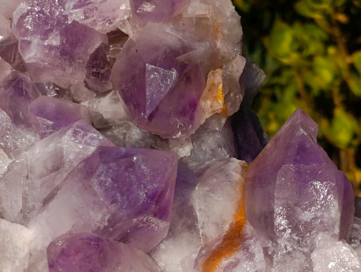 Natural Large Jacaranda Amethyst Crystal Cluster x 1 From Mumbwa, Zambia - Toprock Gemstones and Minerals 