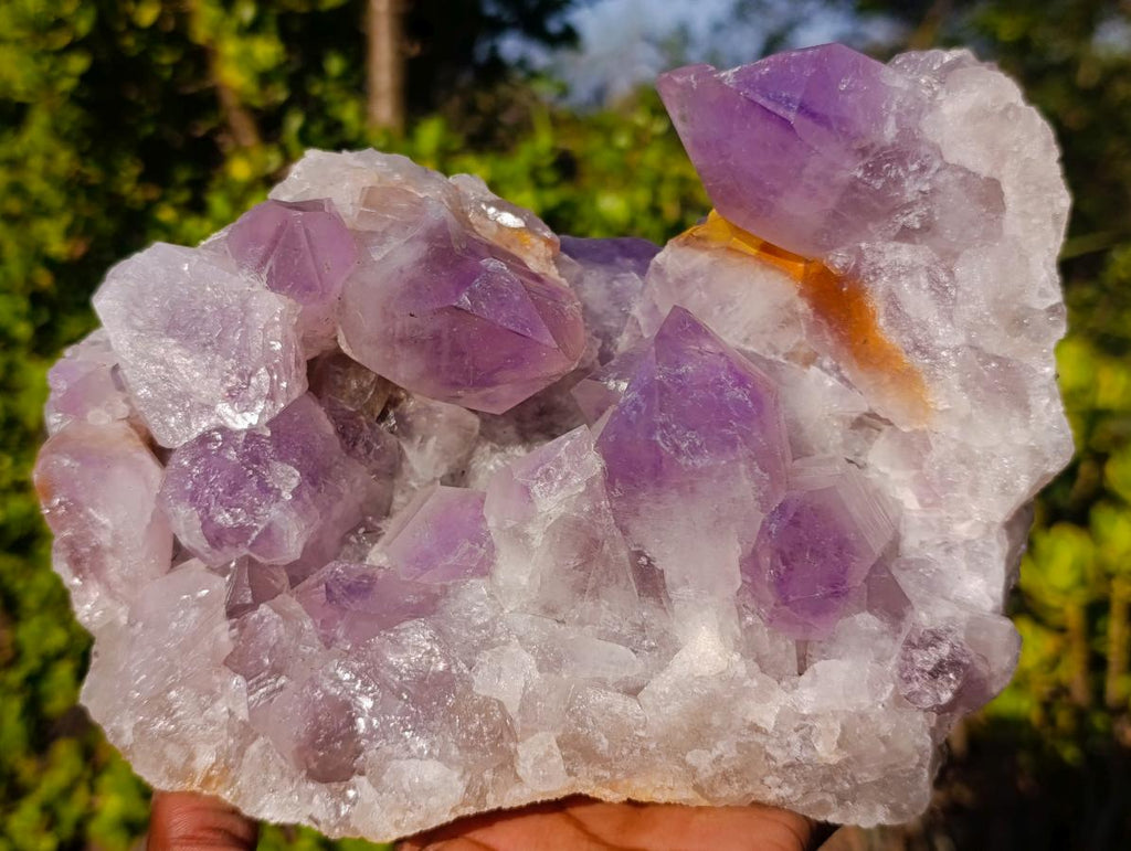 Natural Large Jacaranda Amethyst Crystal Cluster x 1 From Mumbwa, Zambia - Toprock Gemstones and Minerals 