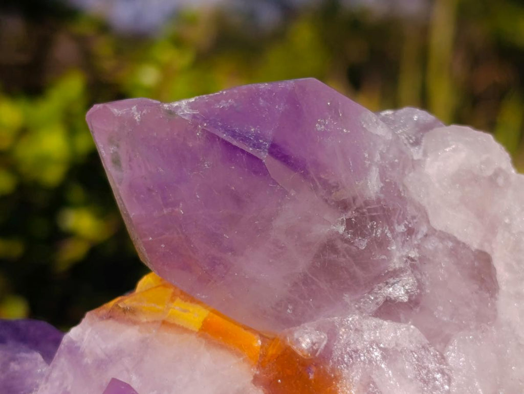 Natural Large Jacaranda Amethyst Crystal Cluster x 1 From Mumbwa, Zambia - Toprock Gemstones and Minerals 