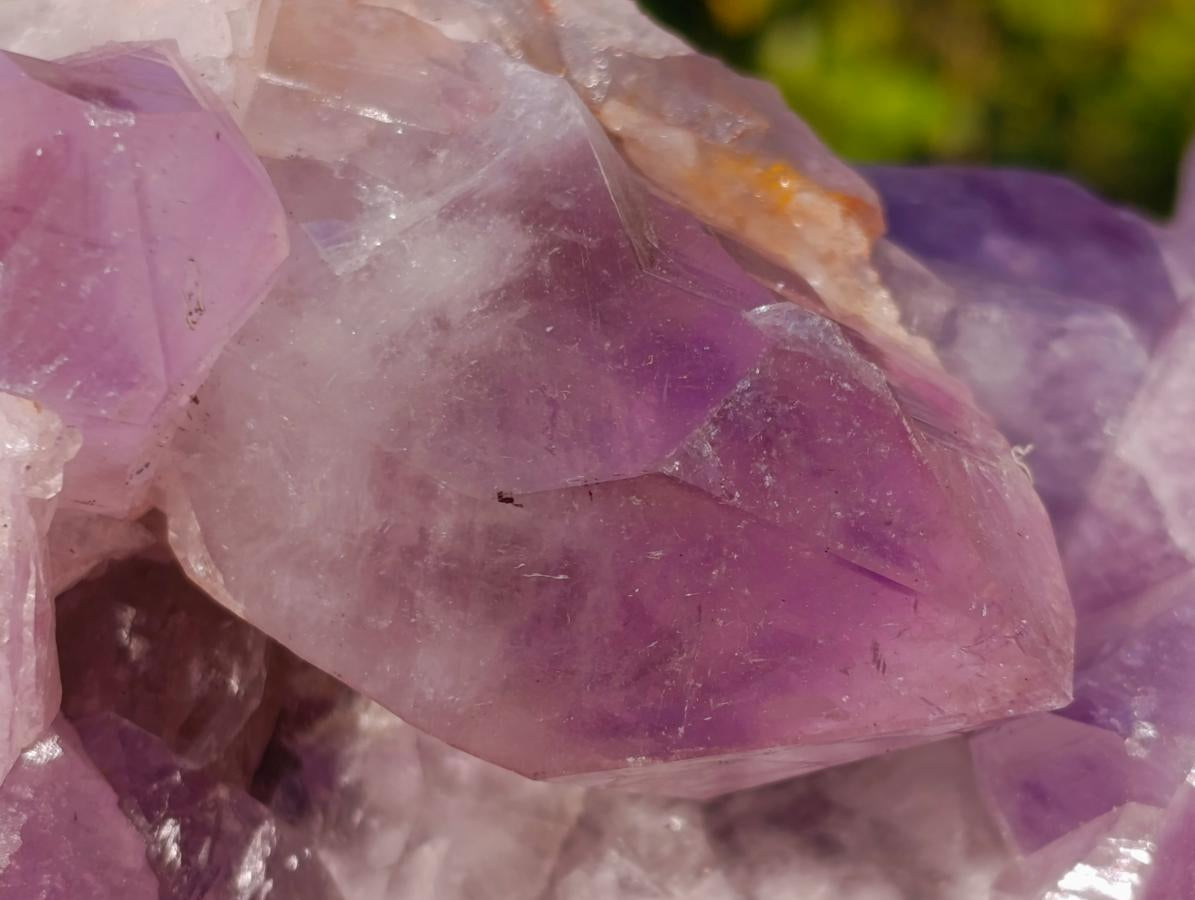 Natural Large Jacaranda Amethyst Crystal Cluster x 1 From Mumbwa, Zambia - Toprock Gemstones and Minerals 