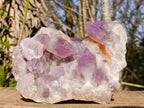 Natural Large Jacaranda Amethyst Crystal Cluster x 1 From Mumbwa, Zambia - Toprock Gemstones and Minerals 
