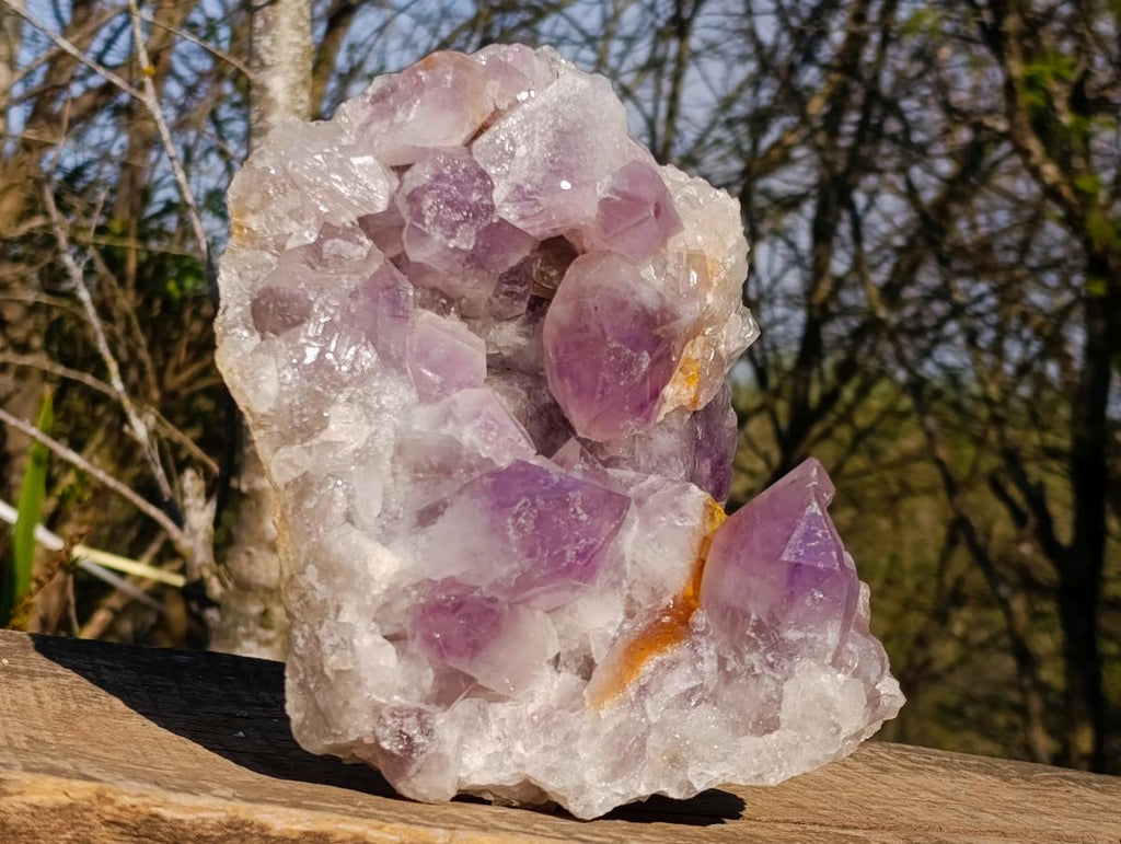 Natural Large Jacaranda Amethyst Crystal Cluster x 1 From Mumbwa, Zambia - Toprock Gemstones and Minerals 