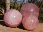 Polished Gemmy Star Rose Quartz Spheres x 3 From Madagascar - Toprock Gemstones and Minerals 
