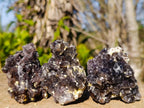 Natural Smokey Fluorite Specimens with Yellow Muscovite Mica x 12 From Erongo, Namibia - Toprock Gemstones and Minerals 