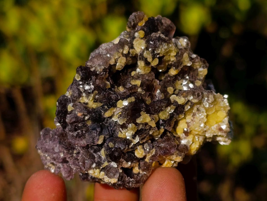 Natural Smokey Fluorite Specimens with Yellow Muscovite Mica x 12 From Erongo, Namibia - Toprock Gemstones and Minerals 