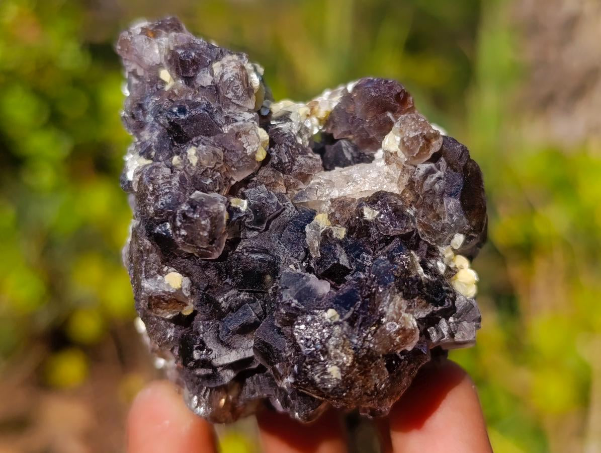 Natural Smokey Fluorite Specimens with Yellow Muscovite Mica x 12 From Erongo, Namibia - Toprock Gemstones and Minerals 
