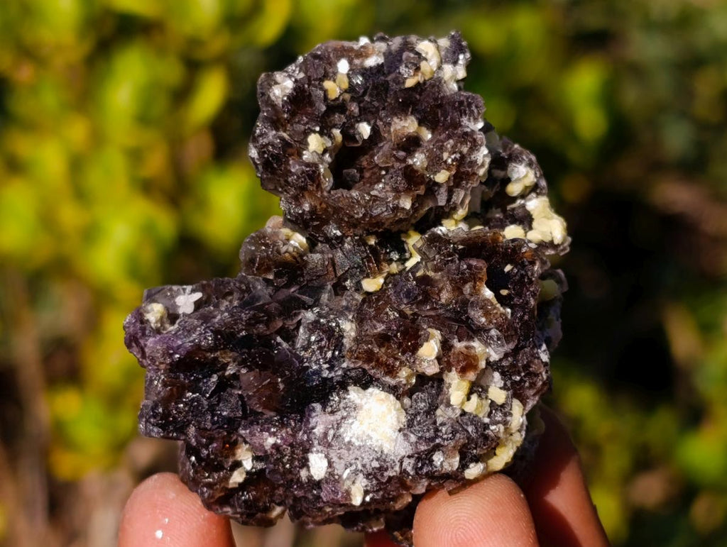 Natural Smokey Fluorite Specimens with Yellow Muscovite Mica x 12 From Erongo, Namibia - Toprock Gemstones and Minerals 
