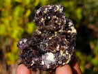 Natural Smokey Fluorite Specimens with Yellow Muscovite Mica x 12 From Erongo, Namibia - Toprock Gemstones and Minerals 