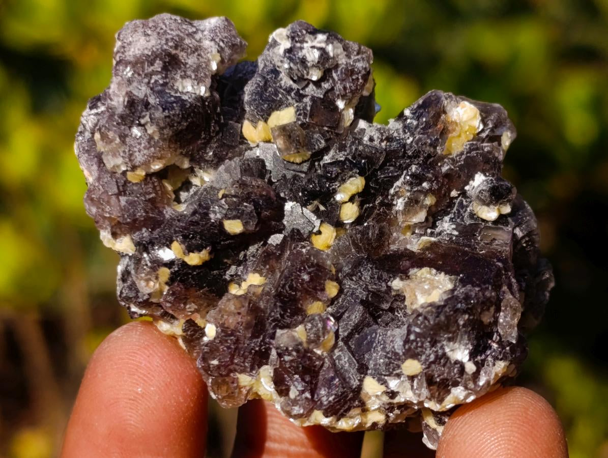 Natural Smokey Fluorite Specimens with Yellow Muscovite Mica x 12 From Erongo, Namibia - Toprock Gemstones and Minerals 