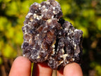 Natural Smokey Fluorite Specimens with Yellow Muscovite Mica x 12 From Erongo, Namibia - Toprock Gemstones and Minerals 