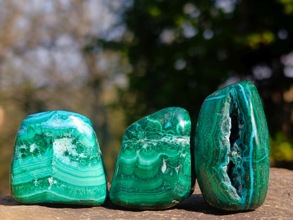 Polished Malacolla Free Forms x 20 From Kulukuluku, Congo - Toprock Gemstones and Minerals 