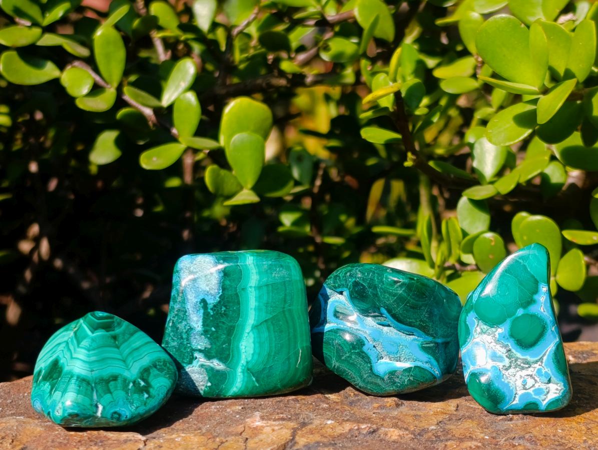 Polished Malacolla Free Forms x 20 From Kulukuluku, Congo - Toprock Gemstones and Minerals 
