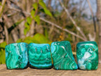 Polished Malacolla Free Forms x 20 From Kulukuluku, Congo - Toprock Gemstones and Minerals 