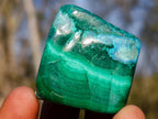 Polished Malacolla Free Forms x 20 From Kulukuluku, Congo - Toprock Gemstones and Minerals 
