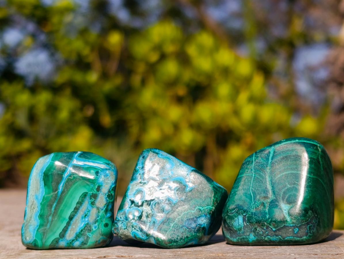 Polished Malacolla Free Forms x 20 From Kulukuluku, Congo - Toprock Gemstones and Minerals 