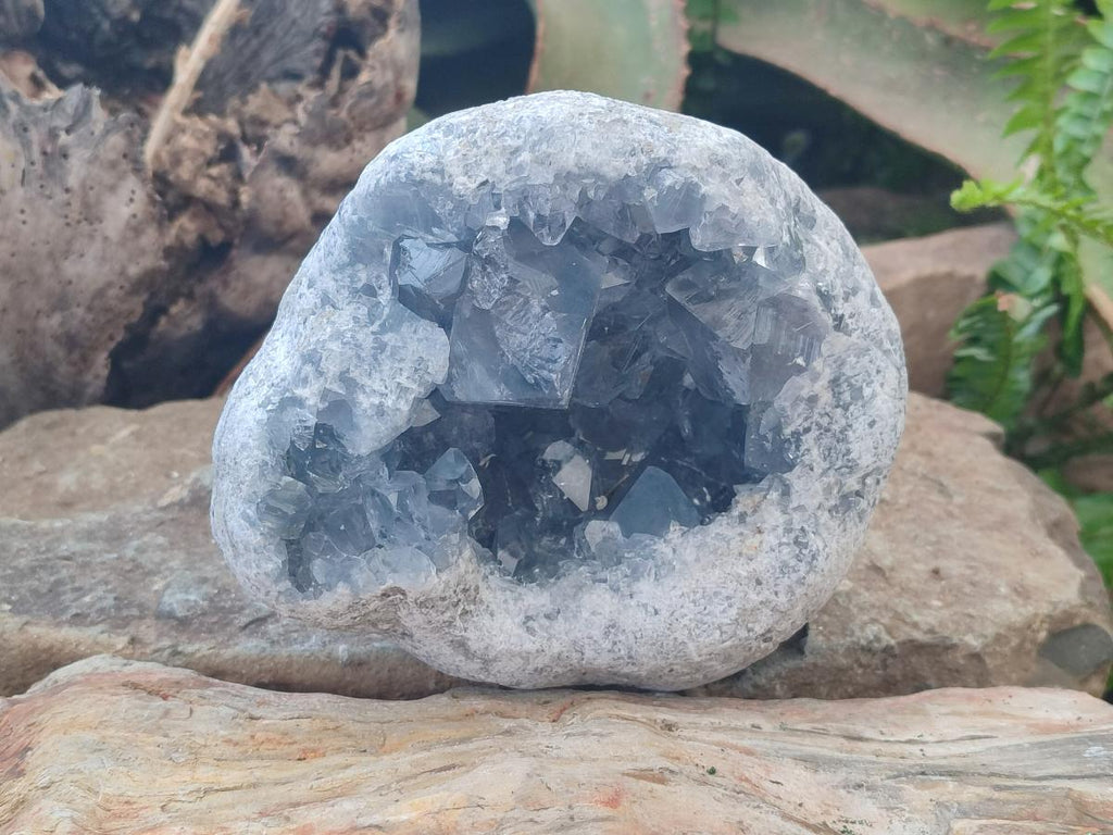 Natural Large Blue Celestite Geode Specimen x 1 From Sakoany, Madagascar - Toprock Gemstones and Minerals 