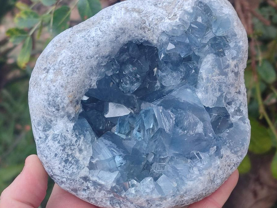 Natural Large Blue Celestite Geode Specimen x 1 From Sakoany, Madagascar - Toprock Gemstones and Minerals 