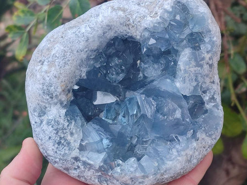 Natural Large Blue Celestite Geode Specimen x 1 From Sakoany, Madagascar - Toprock Gemstones and Minerals 