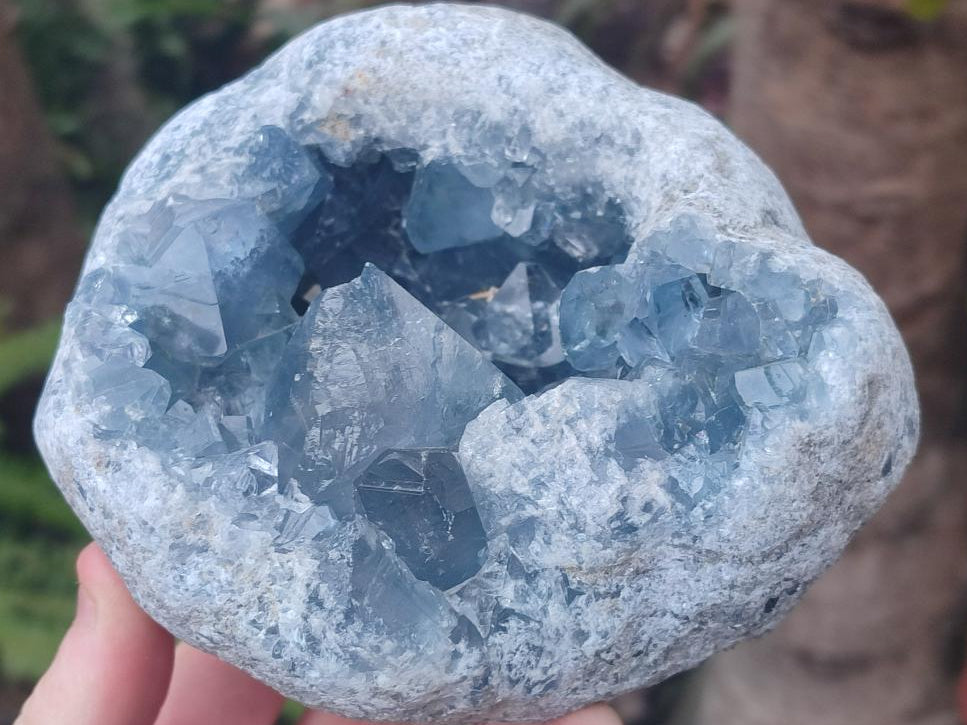 Natural Large Blue Celestite Geode Specimen x 1 From Sakoany, Madagascar - Toprock Gemstones and Minerals 