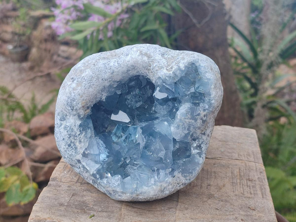 Natural Large Blue Celestite Geode Specimen x 1 From Sakoany, Madagascar - Toprock Gemstones and Minerals 