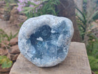 Natural Large Blue Celestite Geode Specimen x 1 From Sakoany, Madagascar - Toprock Gemstones and Minerals 