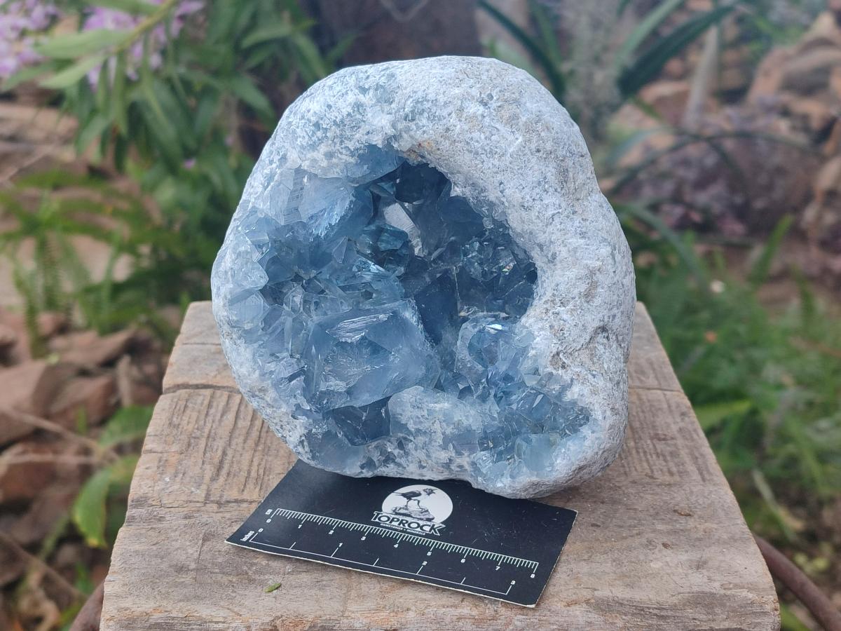 Natural Large Blue Celestite Geode Specimen x 1 From Sakoany, Madagascar - Toprock Gemstones and Minerals 