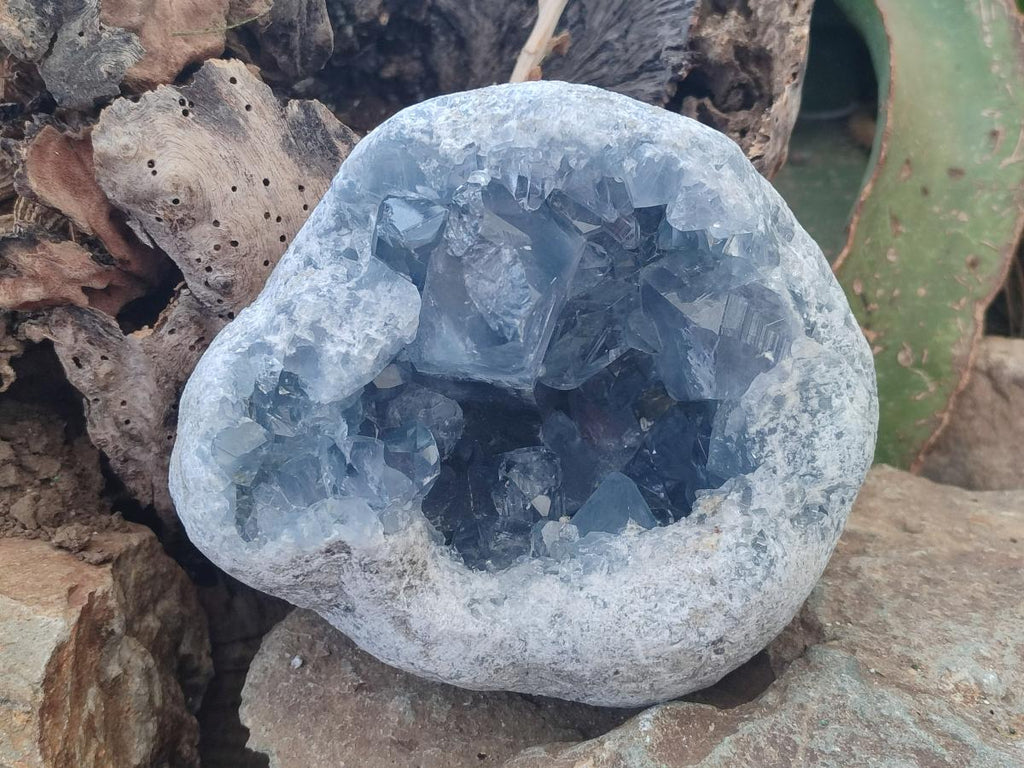 Natural Large Blue Celestite Geode Specimen x 1 From Sakoany, Madagascar - Toprock Gemstones and Minerals 