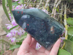 Polished Bloodstone Display Crystals x 2 From Swaziland - Toprock Gemstones and Minerals 
