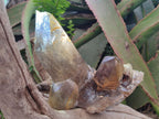 Natural Smokey Quartz Crystals x 4 From Erongo, Namibia - Toprock Gemstones and Minerals 