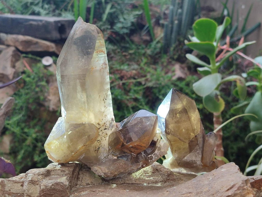 Natural Smokey Quartz Crystals x 4 From Erongo, Namibia - Toprock Gemstones and Minerals 