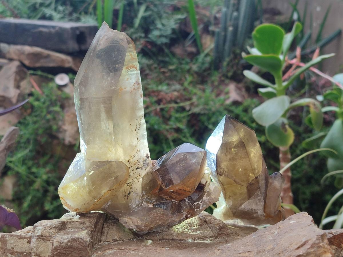 Natural Smokey Quartz Crystals x 4 From Erongo, Namibia - Toprock Gemstones and Minerals 