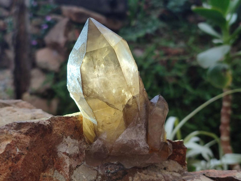 Natural Smokey Quartz Crystals x 4 From Erongo, Namibia - Toprock Gemstones and Minerals 