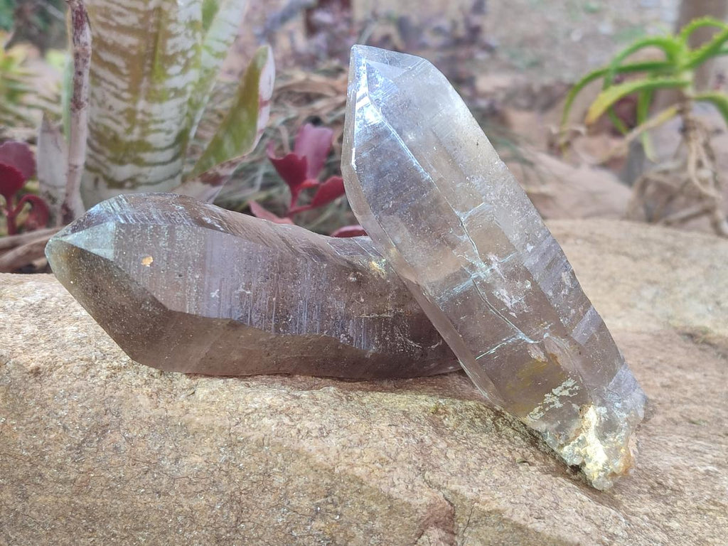 Natural Smokey Quartz Crystals x 4 From Erongo, Namibia - Toprock Gemstones and Minerals 