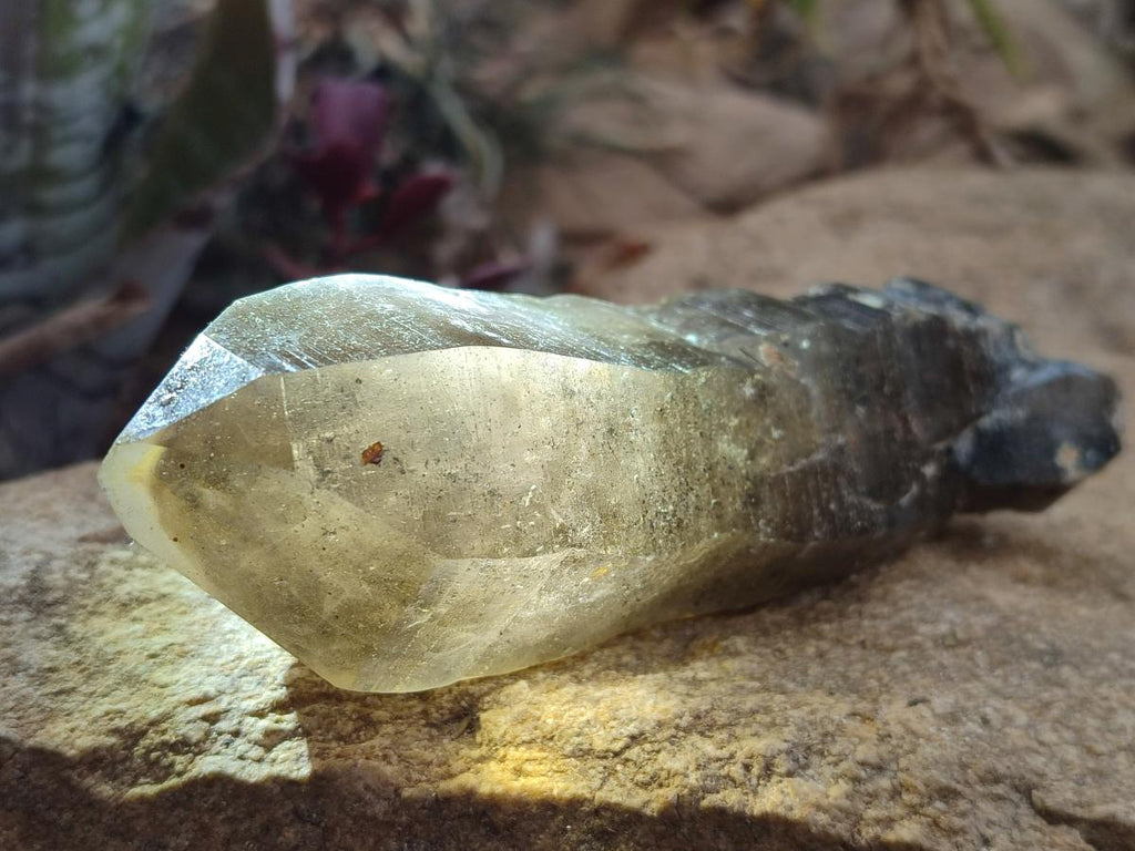 Natural Smokey Quartz Crystals x 4 From Erongo, Namibia - Toprock Gemstones and Minerals 