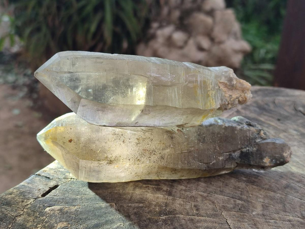 Natural Smokey Quartz Crystals x 4 From Erongo, Namibia - Toprock Gemstones and Minerals 