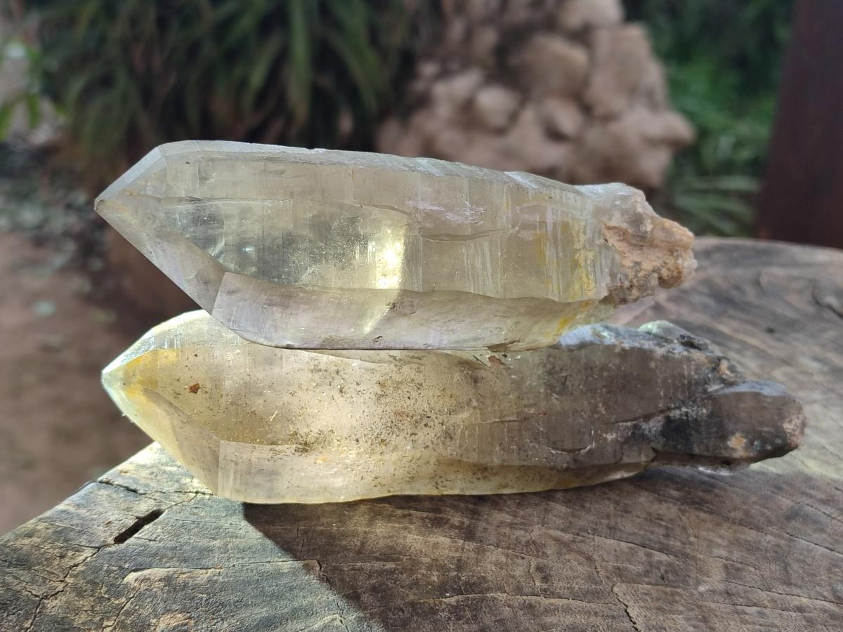 Natural Smokey Quartz Crystals x 4 From Erongo, Namibia - Toprock Gemstones and Minerals 